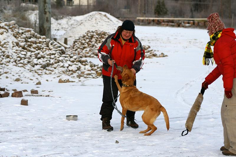 Soveltuvuustesti (33).jpg